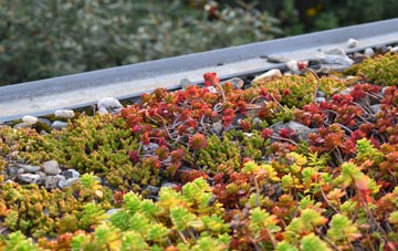 the cost of Kirkton Of Kingoldrum green roof installation